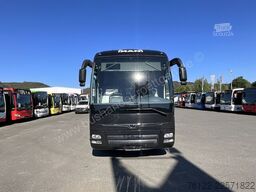 MAN R 08 Lion's Coach L