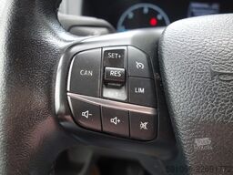 ford Transit Custom Mixto L2 WERKSTAT-REGALE/STDHZG