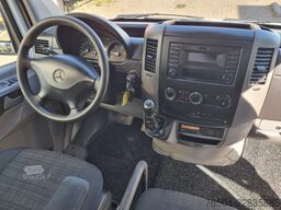 Mercedes-Benz Sprinter 516 CDI Kipper Euro 6 Hijskraan 250 kg