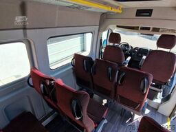  2 x Opel Movano, 3 x Fiat Ducato 18 Sitzer Jumpe