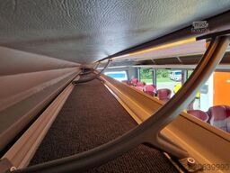 MERCEDES-BENZ 30 Sitzer Schulbus Transferbus 519 Stock