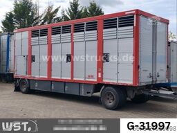  KABA Einstock 1 Stock Großvieh TOP