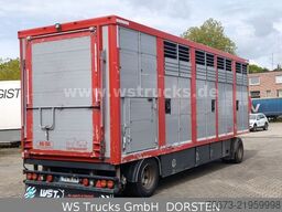  KABA Einstock 1 Stock Großvieh TOP