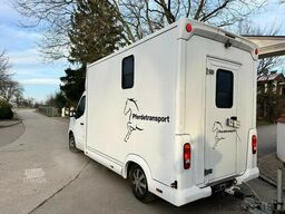 Renault Master Haras 1-2 Pferde