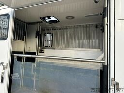 Renault Master Haras 1-2 Pferde