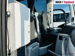 MAN Top* Lions Coach R07-8699