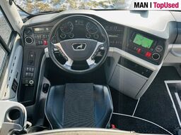 MAN Top* Lions Coach R07-8699