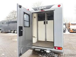 RENAULT Master STX Haras 3 Sitzer