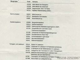 MAN TGE 3.180 Automat. Klima Kamera Top Ausstattung L2H2