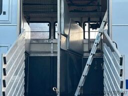 SCANIA R380 6x2 LL 7 Pferde + Bad/ TV/ WC/ Küche