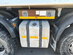 SCANIA G 480