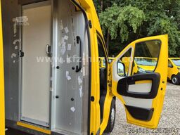 FIAT Ducato Maxi L5H3 Durchgangstüre Regale HOCHDACH