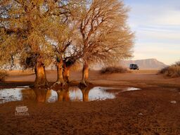 Mercedes Sprinter Yucon 4X4 Yucon KPEAK