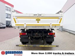 Iveco Trakker AD190T36 4x2, Kran,