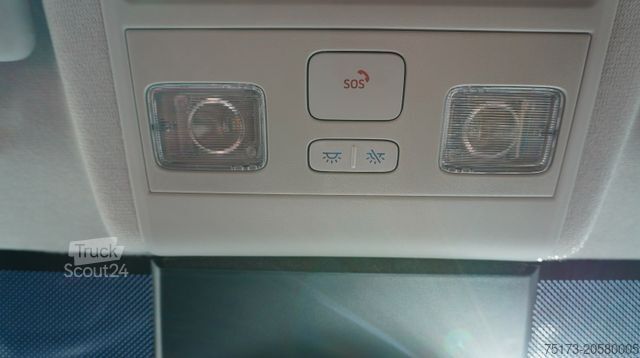 Bestelwagen FORD Transit Custom 320L1 Kasten Trend 2.5L PHEV Kam