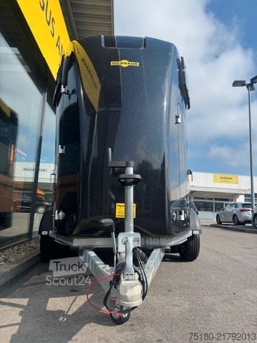 Hästtransportsläp HUMBAUR Pegasus 2 Pferdeanhänger 2,4t ALU SK