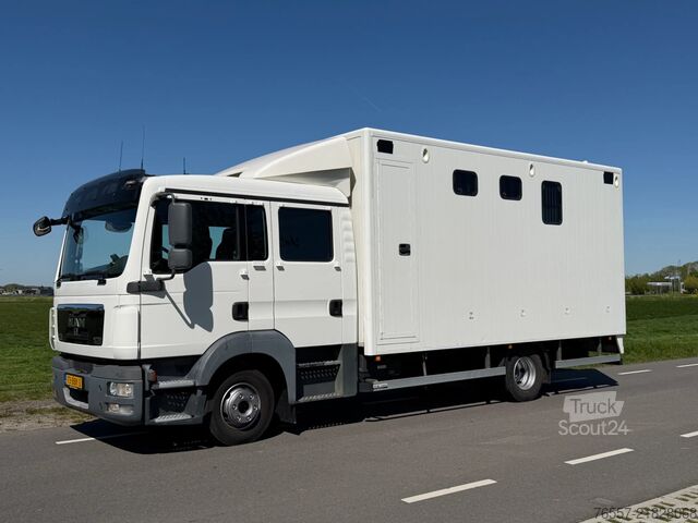 MAN TGL 12.180 hestetransport lastbil MAN TGL 12.180 TGL 12.180 PAARDENWAGEN.