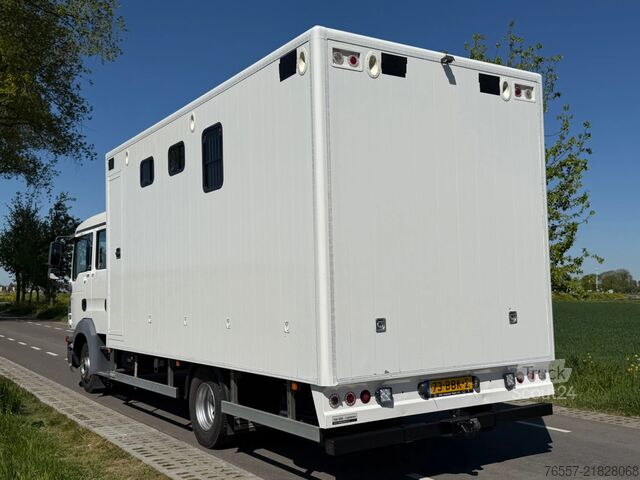 MAN TGL 12.180 hestetransport lastbil MAN TGL 12.180 TGL 12.180 PAARDENWAGEN.