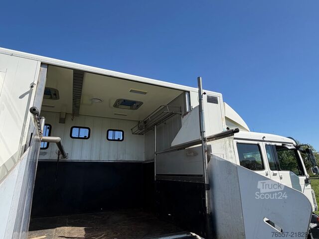 MAN TGL 12.180 hestetransport lastbil MAN TGL 12.180 TGL 12.180 PAARDENWAGEN.