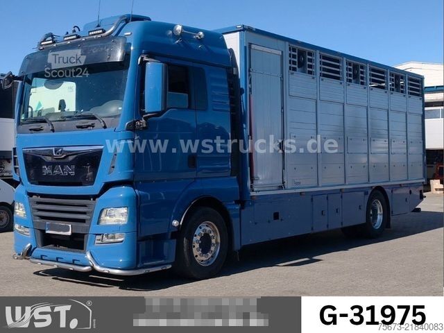 Boskapsbil MAN TGX 18.430 | Finkl 1 Stock Viehtransporter