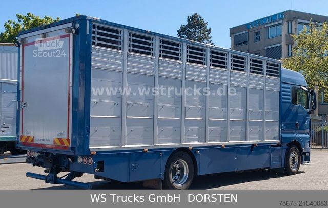 Boskapsbil MAN TGX 18.430 | Finkl 1 Stock Viehtransporter