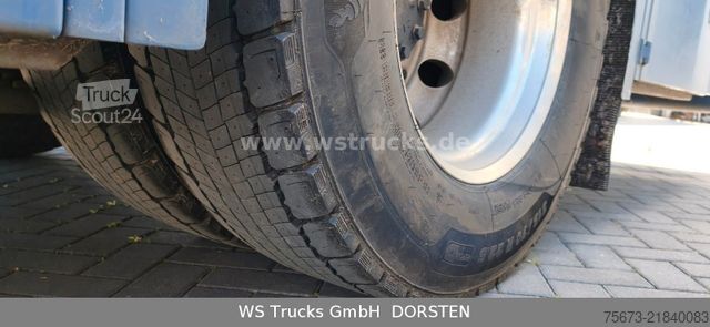 Boskapsbil MAN TGX 18.430 | Finkl 1 Stock Viehtransporter
