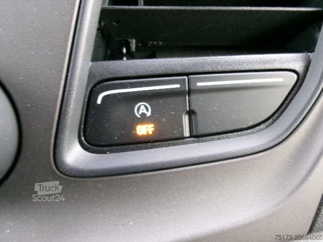 Minibus FORD Transit 350 L3H2 Trend Kombi Rampe KMP PDC GRA