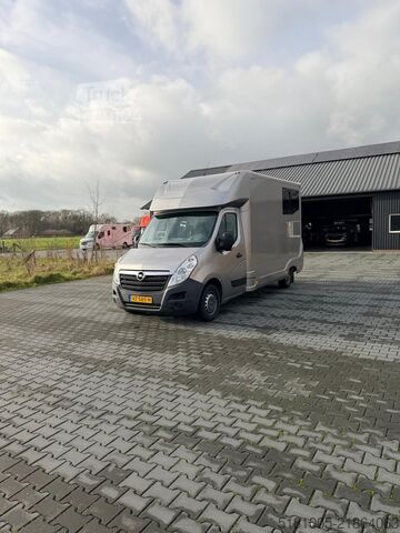 Prevoz konj Opel Movano Renault Master Agriworld. aparte zadelka...