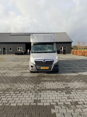 Prevoz konj Opel Movano Renault Master Agriworld. aparte zadelka...