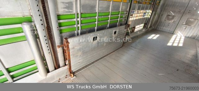 Hestetransporthenger PEZZIOLI 2 Stock RBA31F ausfahrbares Dach Viehanhänger