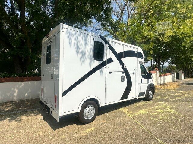 Μεταφορέας ζώων Fiat Ducato Theault 1-2 Pferde mit Hengsttrennung