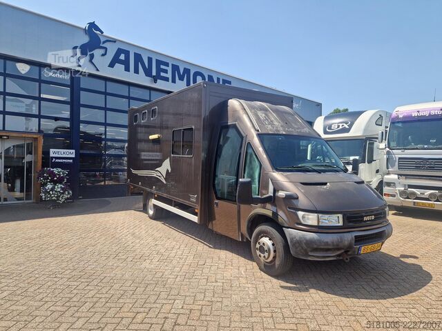 Paarden transport Iveco 65C Automaat paardenwagen C1 rijbewijs 2 paarde...