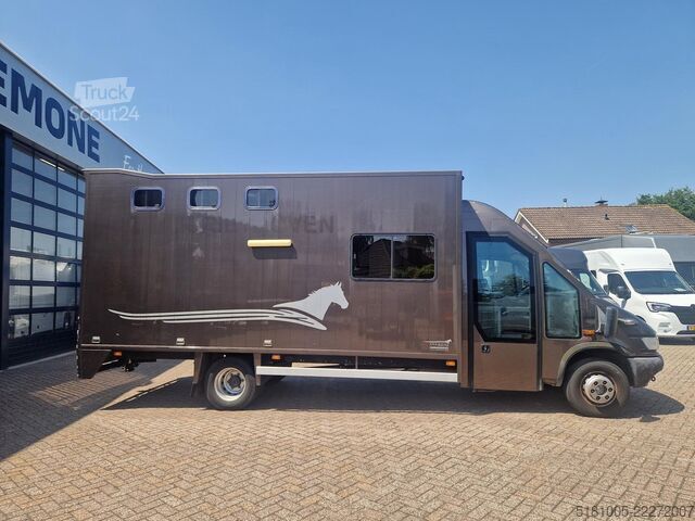 Paarden transport Iveco 65C Automaat paardenwagen C1 rijbewijs 2 paarde...
