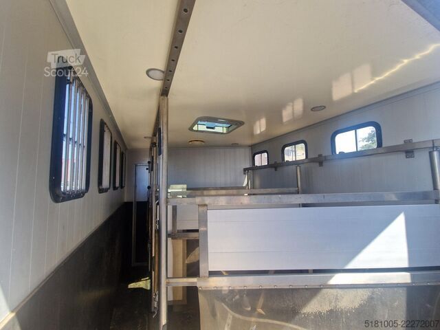 Paarden transport Iveco 65C Automaat paardenwagen C1 rijbewijs 2 paarde...