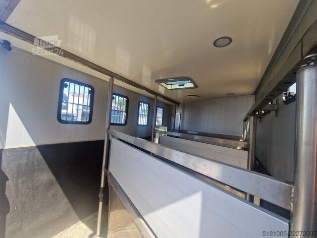 Paarden transport Iveco 65C Automaat paardenwagen C1 rijbewijs 2 paarde...