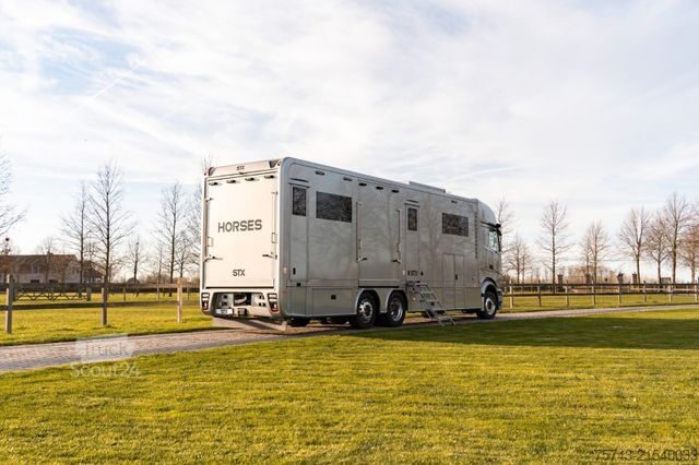 Liellopu pārvadāšanas kravas automašīna MERCEDES-BENZ Actros 2651 STX Pop-Out, Pop-Up. u. Wohntrailer