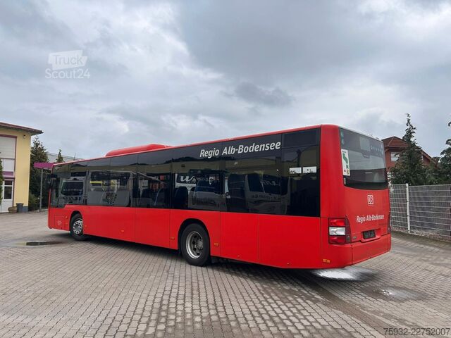 Autobus urbano MAN A20 Lion's City Ü NÜ 323 - KLIMA 42-Sitze - 363
