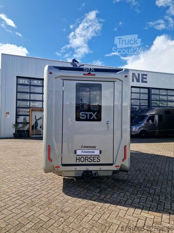 Transport de chevaux Renault Master Renault STX S5L, automaat paardenwagen, ...