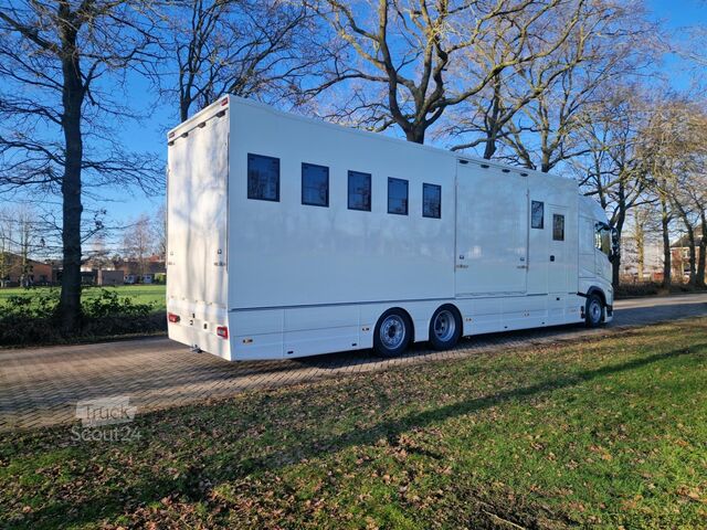 Transporte de caballos Volvo FH Middle East Specs Volvo FH 420 9 paarden, mi...