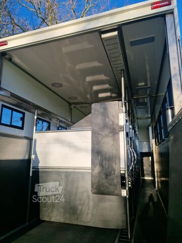 Transporte de caballos Volvo FH Middle East Specs Volvo FH 420 9 paarden, mi...