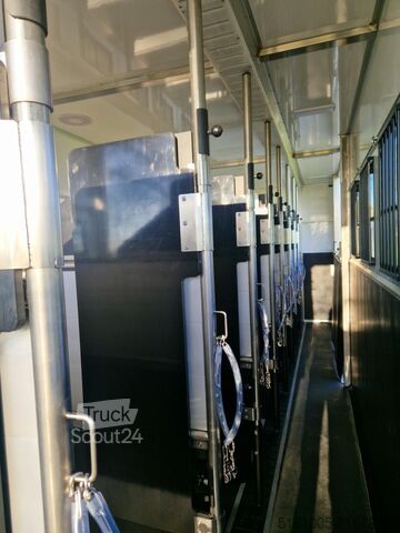 Transporte de caballos Volvo FH Middle East Specs Volvo FH 420 9 paarden, mi...