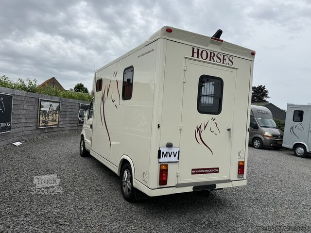 Transport av hästar Renault Master | HORSETRUCK | MTM | PRO SAFETY 3XL | 20...
