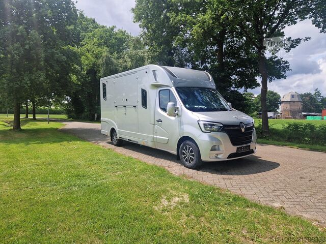 Zirgu transports Renault Master Theault S5L paardenwagen Pro-Safety heng...
