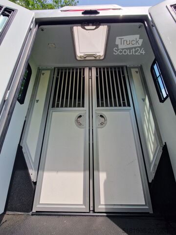 Zirgu transports Renault Master Theault S5L paardenwagen Pro-Safety heng...