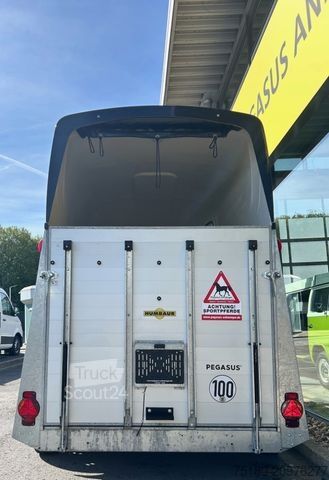 Arklių pervežimo priekaba HUMBAUR Pegasus 2 Pferdeanhänger 2,4t ALU SK