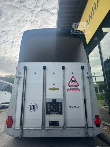 Arklių pervežimo priekaba HUMBAUR Pegasus 2 Pferdeanhänger 2,4t ALU SK 1.Hand