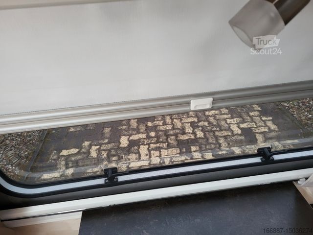 Караван NIEWIADOW N 126 N - Nr. 116  (2)