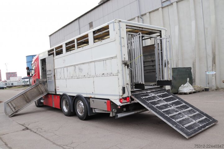 Viehtransporter LKW Scania R490  E6 Retarder 2 Stock AHK Lift Lenk