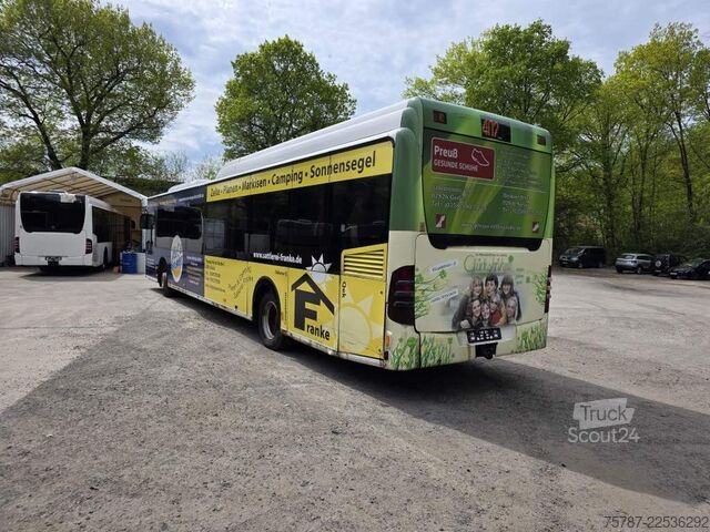 Überlandbus MERCEDES-BENZ Citaro O530 LE, Gurten,  Armlehnen, Gardinen
