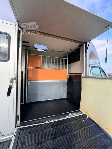 Перевозка лошадей Renault Master Renault Master Sodiak 2 paards / 3 pony's